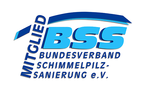 BSS